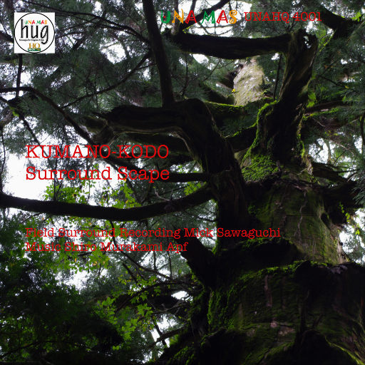 黄色大片免费看
